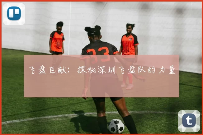 飞盘巨献：探秘深圳飞盘队的力量