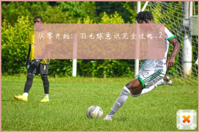 从零开始：羽毛球意识完全攻略_2