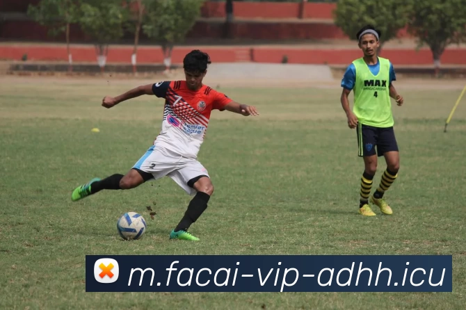 乐鱼体育发展历程